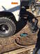 1981 Ford Bronco