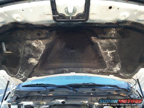 Underside of a car hood with sound deadening material. Windshield wipers and cowl are visible below