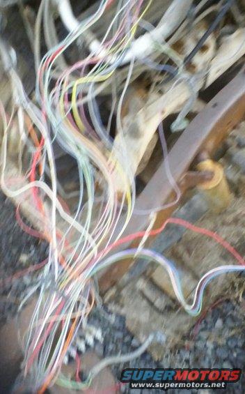 kindle_camera_1449071511000.jpg