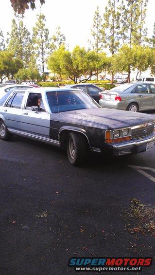 imag0369.jpg