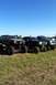 1995 Ford F-150 photo