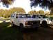 1981 Ford Bronco