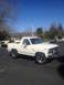 1981 Ford Bronco