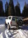 1981 Ford Bronco