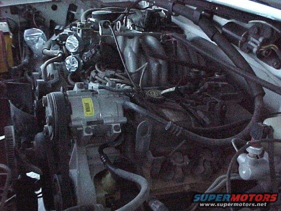 engine bay with hoses, belts, and AC compressor visible