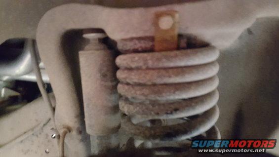 close-up of a vehicle's coil spring and shock absorber