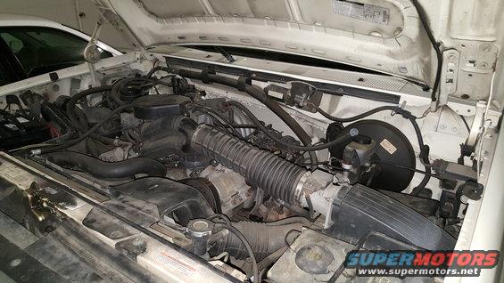 White 1995 Ford Bronco engine bay with hoses and engine components visible