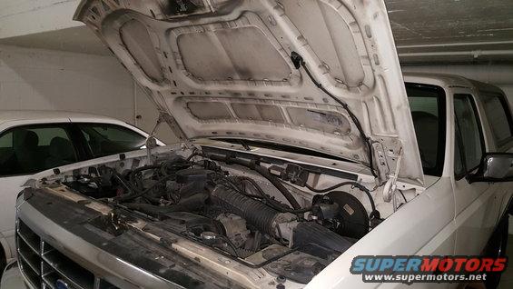 1995 Ford Bronco engine bay with hood open. Another white car is parked to the left