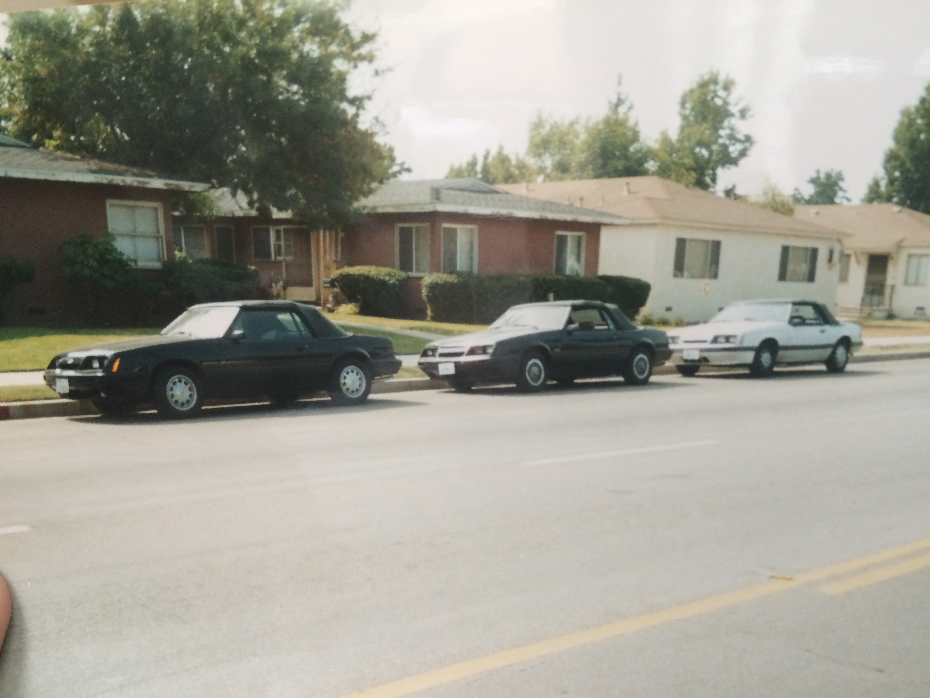 1985 Ford Mustang photo
