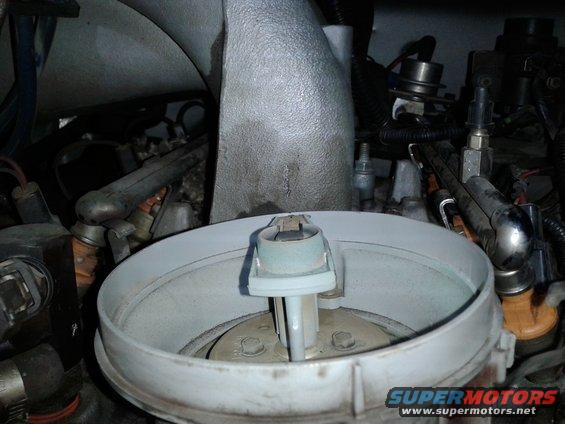 Close-up of engine components, including fuel injectors and part of the intake manifold