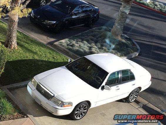 White sedan parked next to a black car, with a palm tree nearby