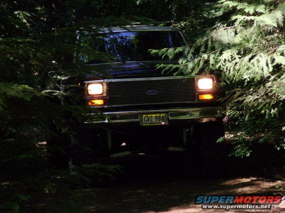83 ford