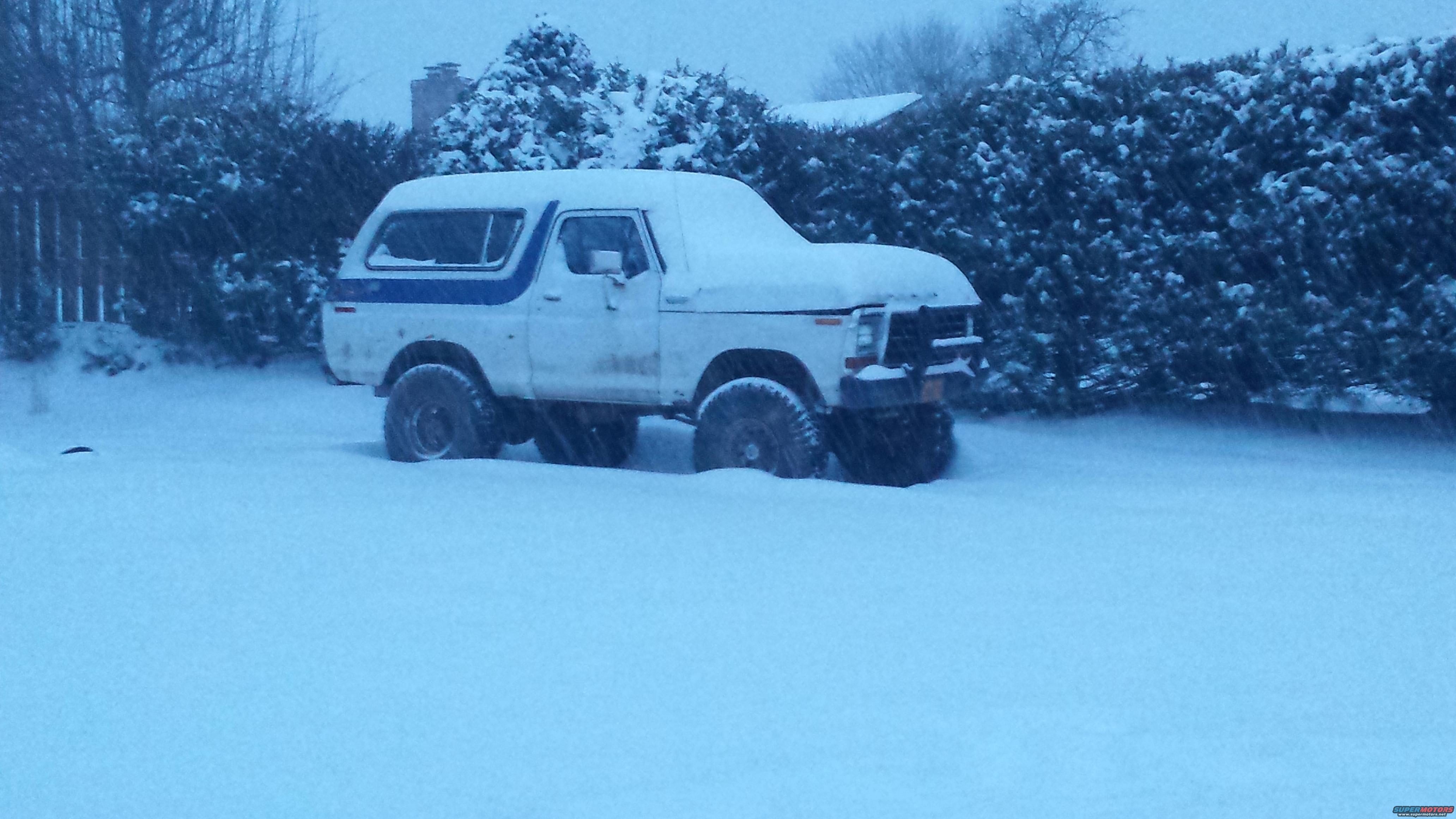 1979 Ford Bronco photo