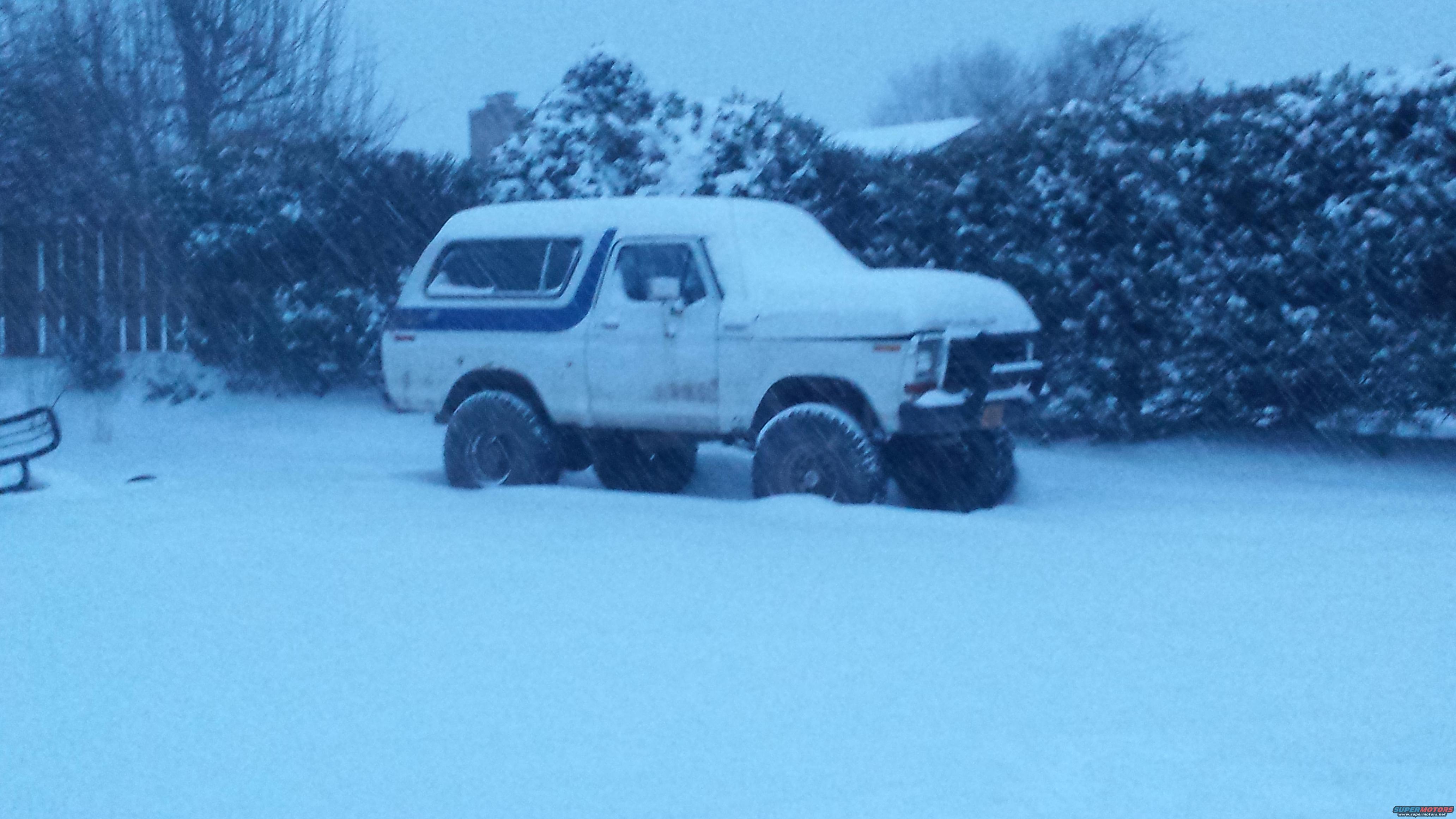 1979 Ford Bronco photo