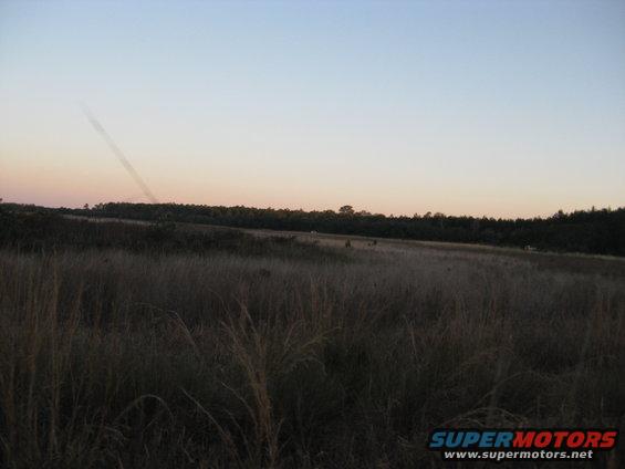 Wide shot of a grassy field with trees in the distance at sunset. A faint contrail is visible in the sky