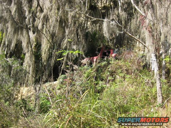 Red SUV interior visible, overgrown with vegetation