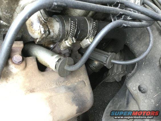 Close-up of engine components including hoses, clamps, and spark plug wire