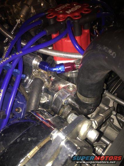 Engine bay with red MSD distributor cap, blue spark plug wires, and chrome components