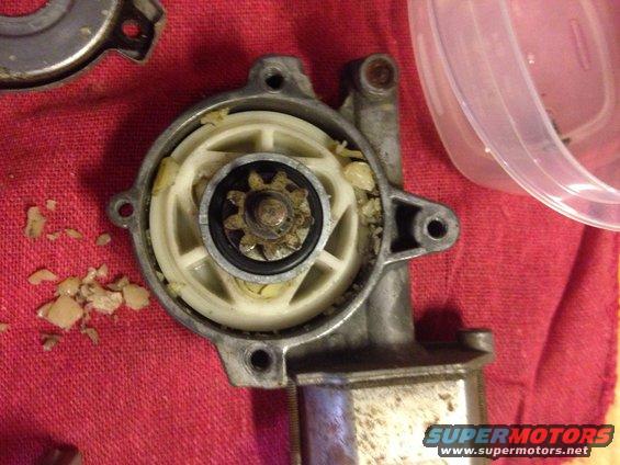 image.jpeg