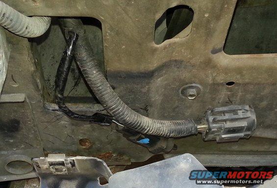 drl-harness.jpg