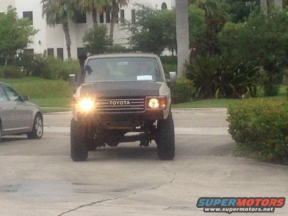 securedownload2.jpeg Gnarlene