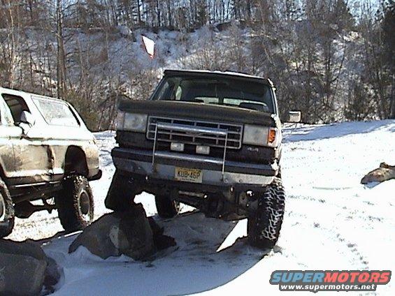 dsc00131.jpg Reptillikus