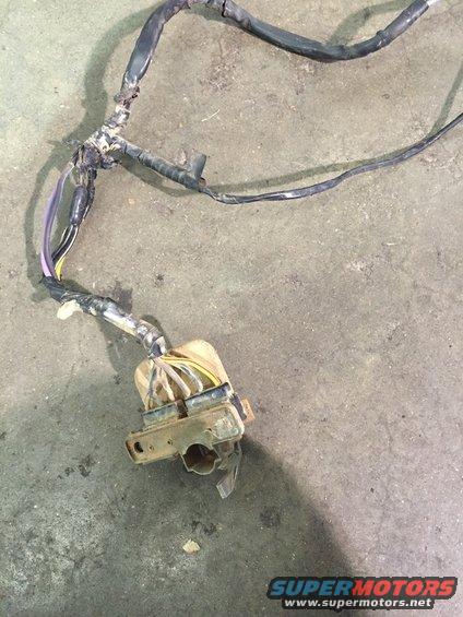 wiring harness with a connector block and multiple wires, lying on a concrete surface