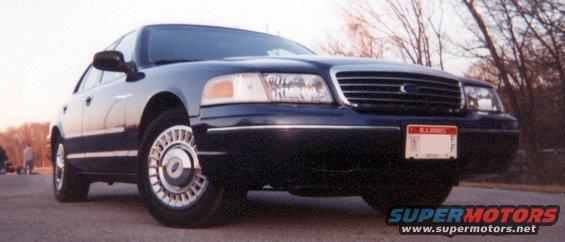 front(right).jpg Do you realize how low to the ground I had to get for this shot?