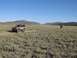 1990 Ford Bronco II - Monanche Meadow (Tulare Co., Ca)