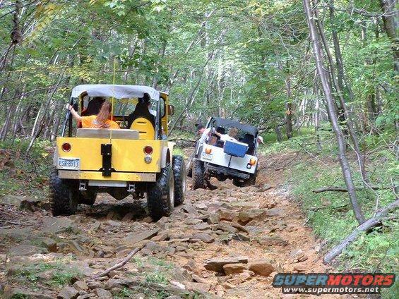 Yellow and white Jeeps driving up a rocky trail in the woods