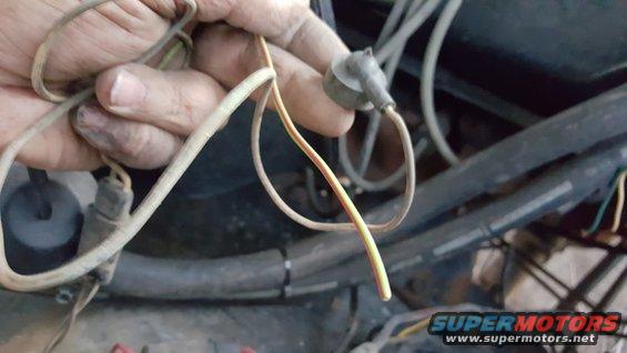 more-wires.jpg