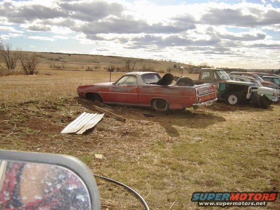 1971 Ford Ranchero parked in a field, rear view. Other vehicles are lined up behind it