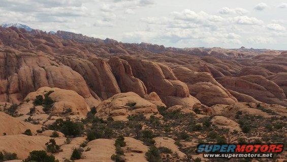 poisonspidermesa27.jpg