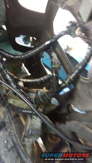 Vehicle wiring harness with black and green striped wires, viewed from a close-up angle