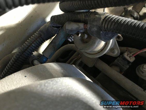 Engine bay components including hoses, wiring, and a fuel pressure regulator.
