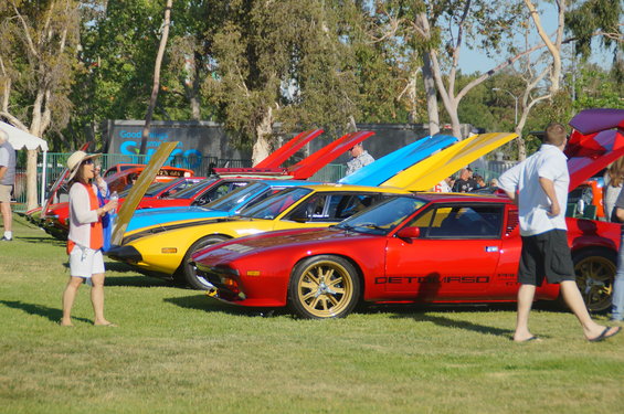 dsc00062.jpg 