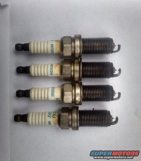 gen-coupe-plugs-68k2.jpg
