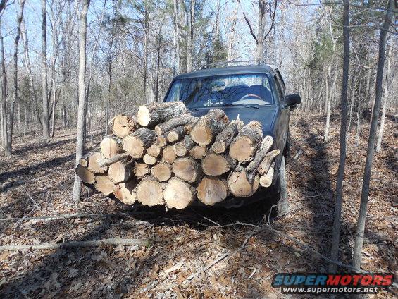 topple13.jpg Several dead trees came down.