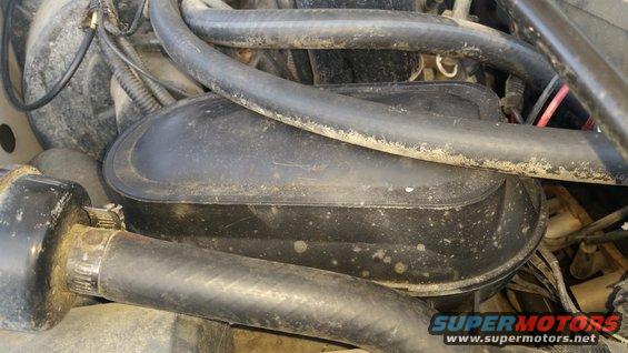 Engine bay vacuum canister with hoses