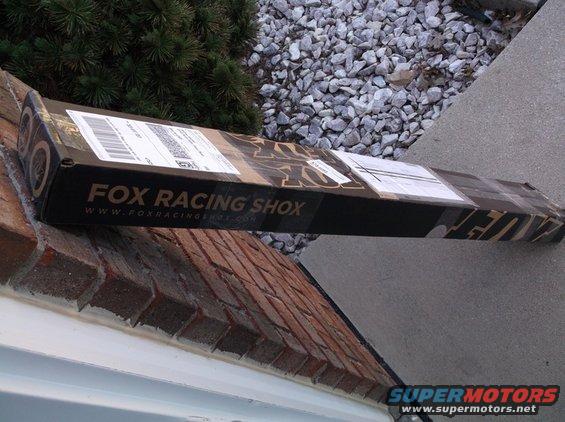 Black Fox Racing Shox box with white text, resting on a brick ledge