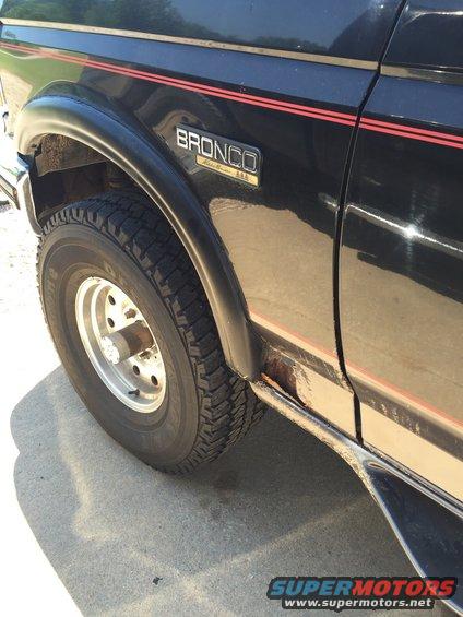 Black Ford Bronco with red pinstripes and a 'Bronco Eddie Bauer' badge. Shows rust on the lower body panel near the rear wheel