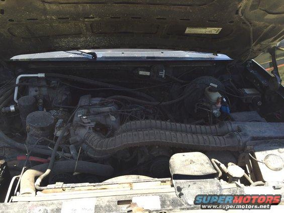 engine bay with hoses and engine components visible