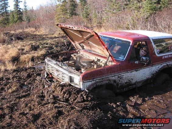 stuck9.jpg 