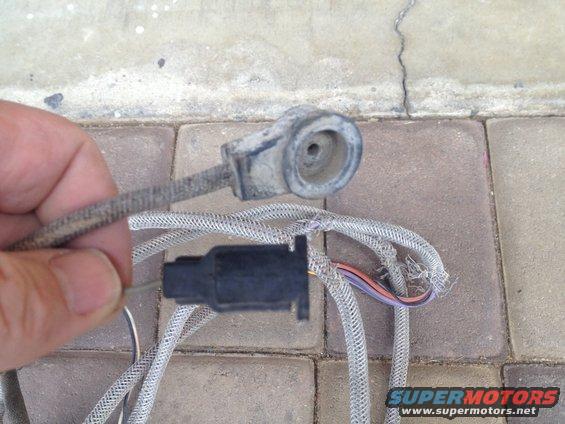 Close-up of a hand holding a dirty electrical connector and frayed wiring harness against a brick and concrete background