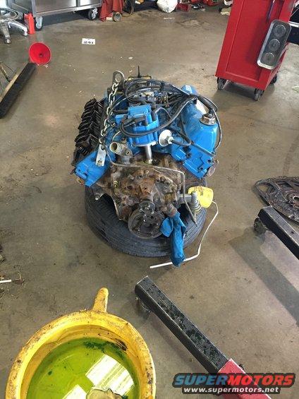 V8 engine with blue valve covers and black exhaust manifolds, resting on a tire in a garage