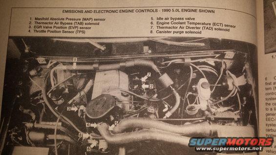 Diagram of a 1990 5.0L engine with labeled emissions and electronic controls