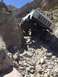 1979 Ford Bronco - A white off-road truck navigates a steep, rocky trail under a clear blue sky.