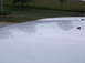 2011 Ford F-250 - The hood of a white truck shows reflections of trees and small water droplets on its surface.