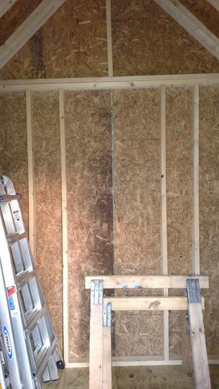 Interior of a shed with unfinished walls made of OSB and wood framing. A ladder is on the left