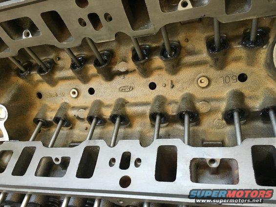 Close-up of a Ford engine cylinder head showing pushrods and intake ports. '5.0L' is visible